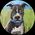 Photo de profil de Blue Zushi