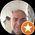 Photo de profil de Olivier Sans