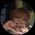 Photo de profil de Margaux Hgrt