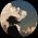 Photo de profil de Evlypse