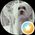 Photo de profil de Viera Garcia