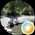 Photo de profil de Celine Saylyn