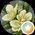 Photo de profil de Mery Sali